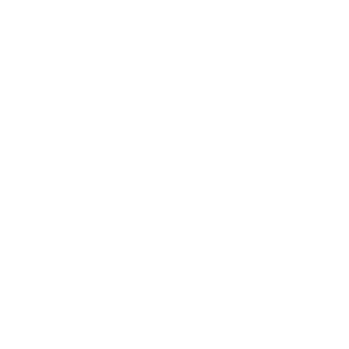 Healthy heart icon